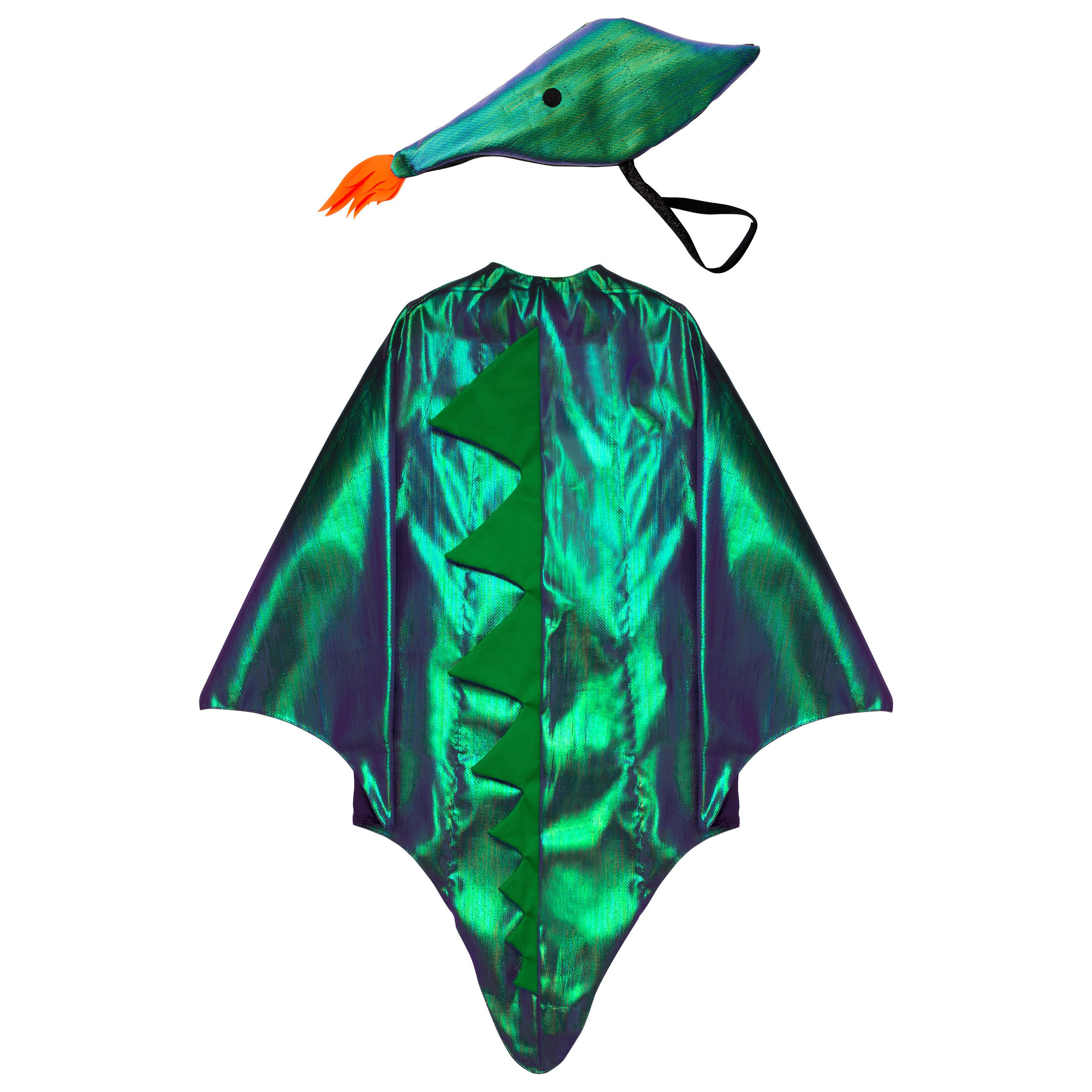Dragon Costume