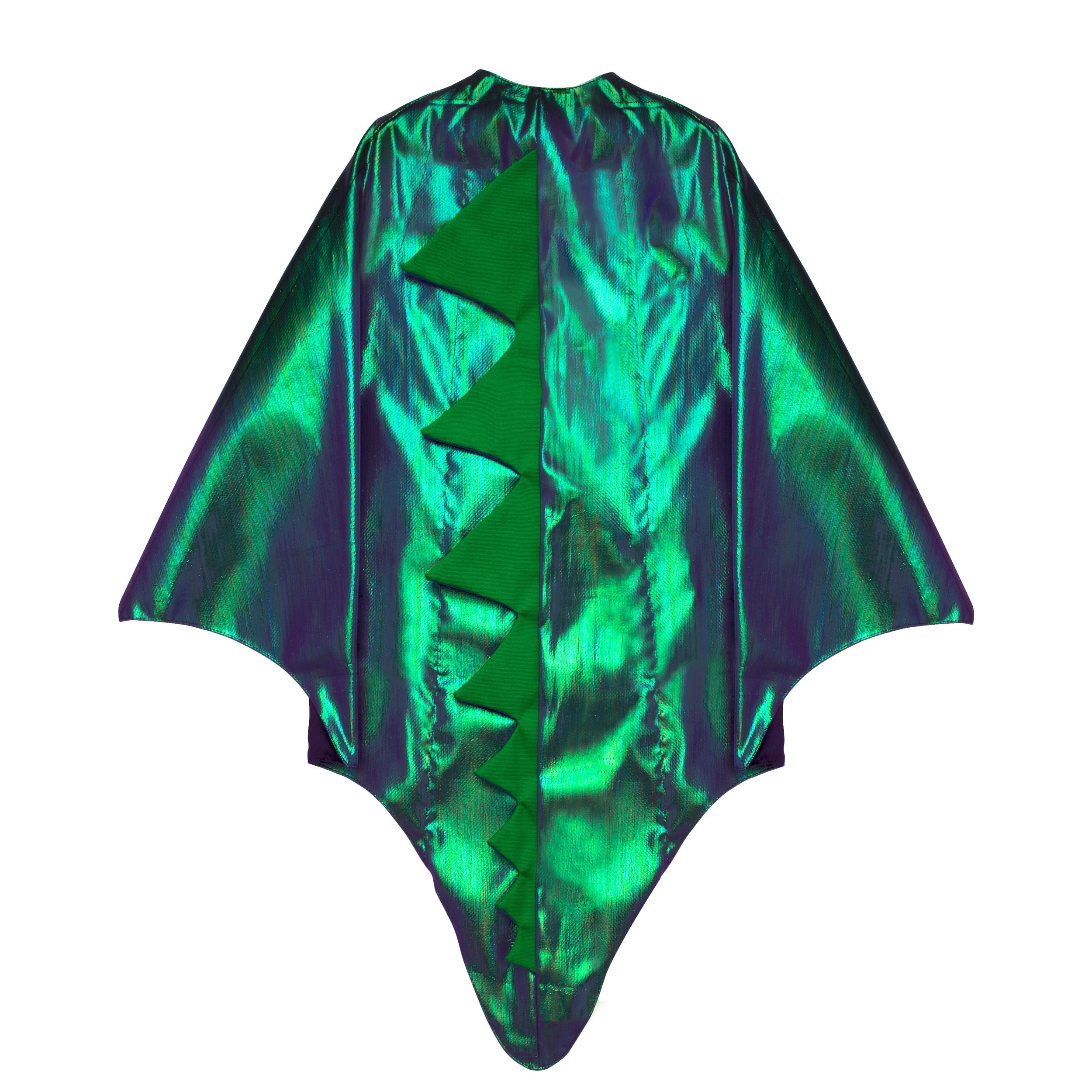 Dragon Costume