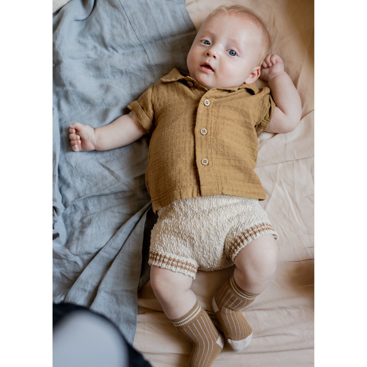 David Shirt & Linus Bloomer | Biscotto