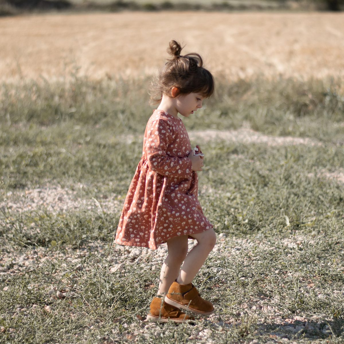 Terracotta Cosmic Flower Dress