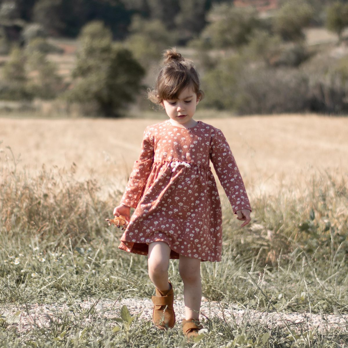 Terracotta Cosmic Flower Dress