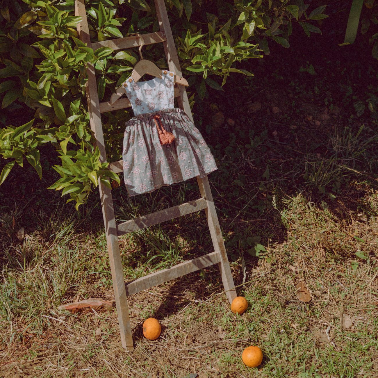 Plumeti Dress
