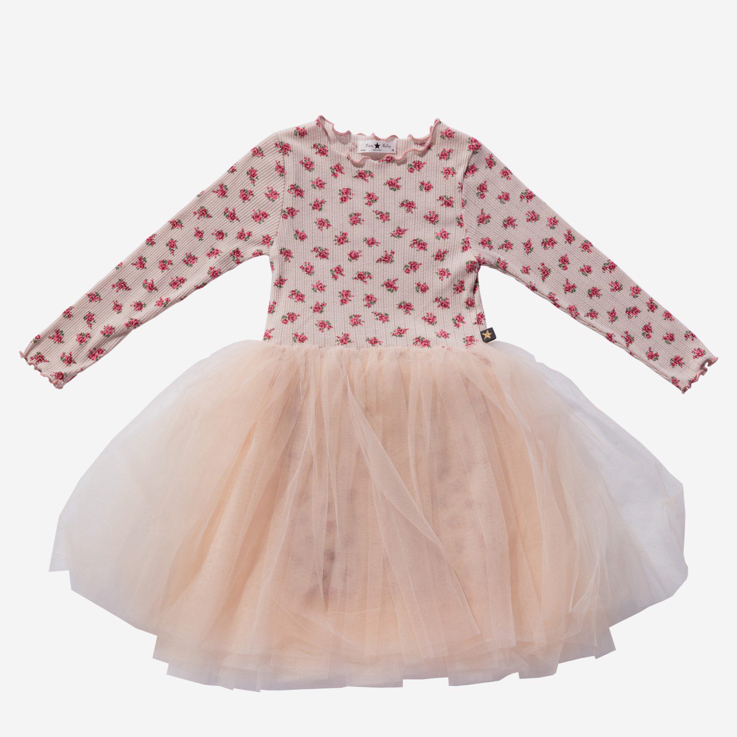 Rose Vintage Tutu Dress