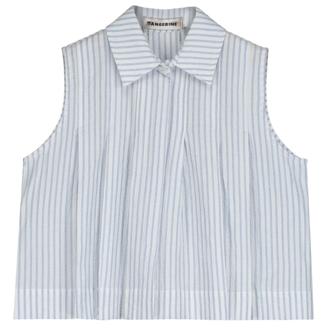 Pleated Blouse
