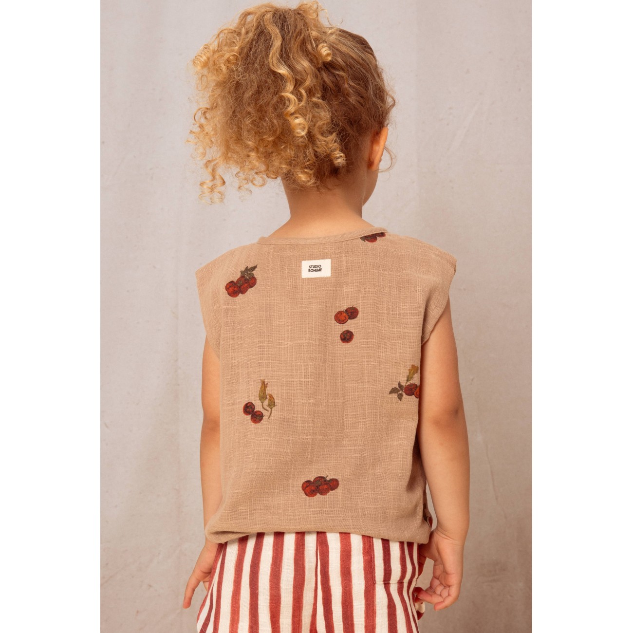 Blouse Roman & Shorts Georgette Tomatoes/Brick Red Stripes