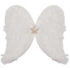 Angel Wings