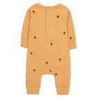 Acorns One Piece