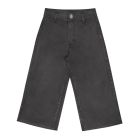 Dana Pant Ash