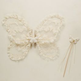 Fairy Set | Butterfly