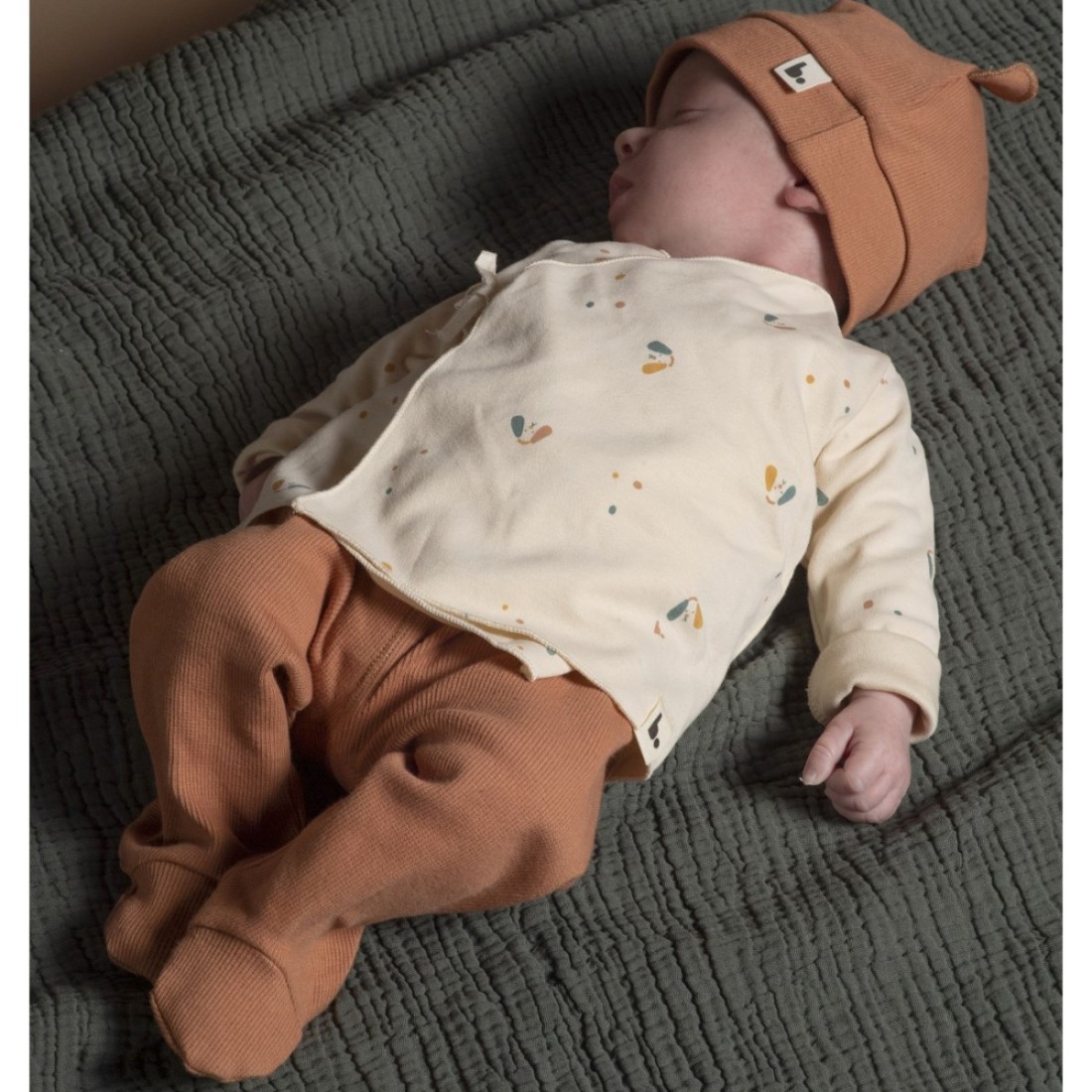 Jacket & Pants Dog