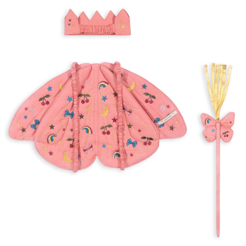 Butterfly Costume | Twinkle
