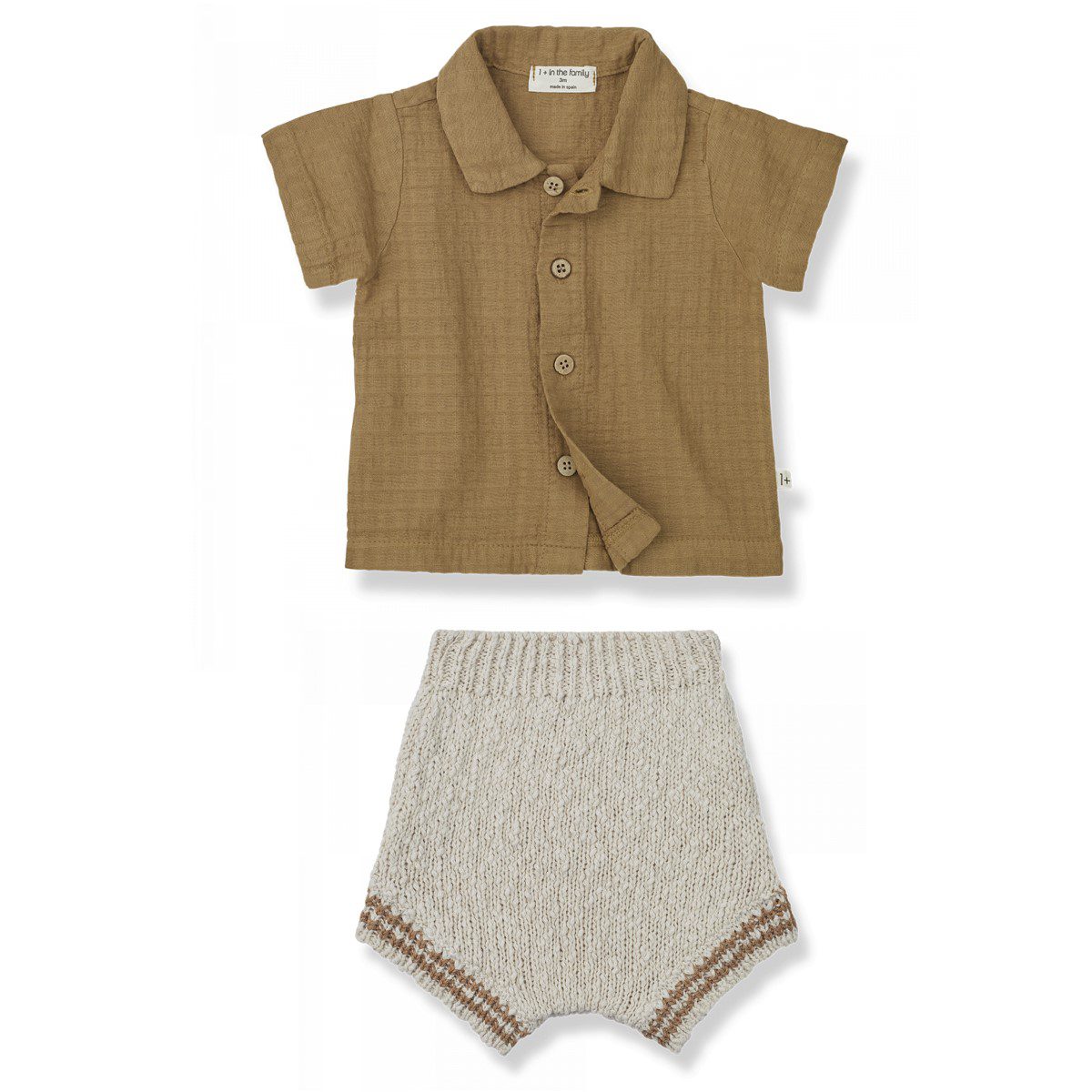 David Shirt & Linus Bloomer | Biscotto